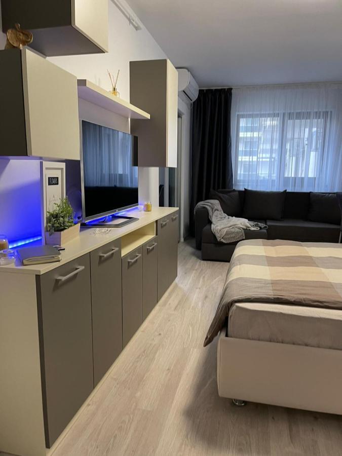 Apartament Studio Exceptional Bucureşti