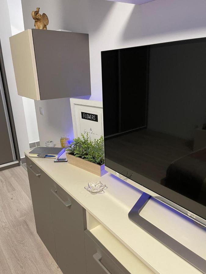 Apartament Studio Exceptional Bucureşti